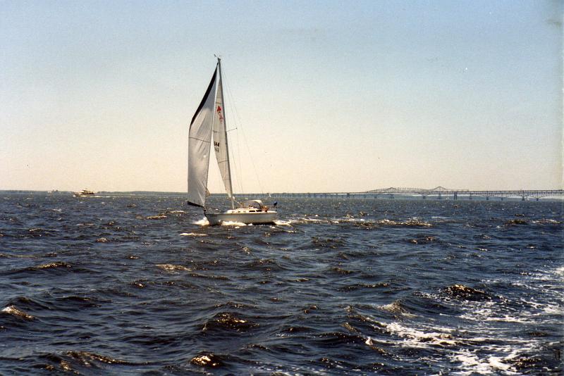 50SummerBreezeCat34_1989.jpg