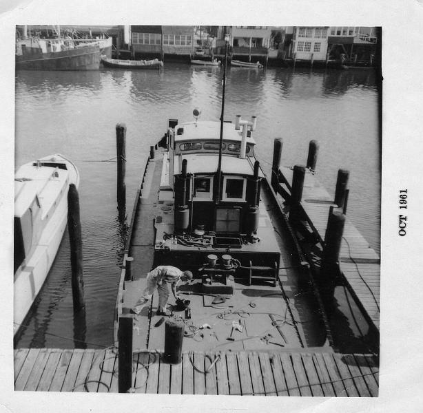 Pusherstern006.jpg
